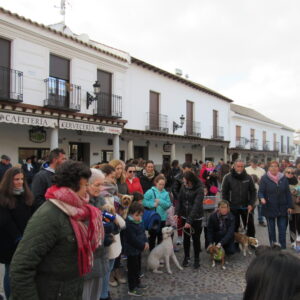 Fiestas Orgaz
