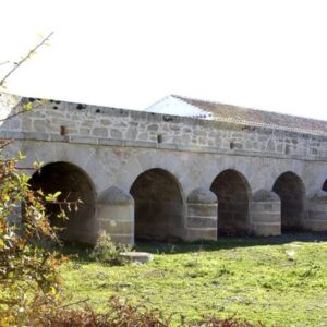 Orgaz histórico